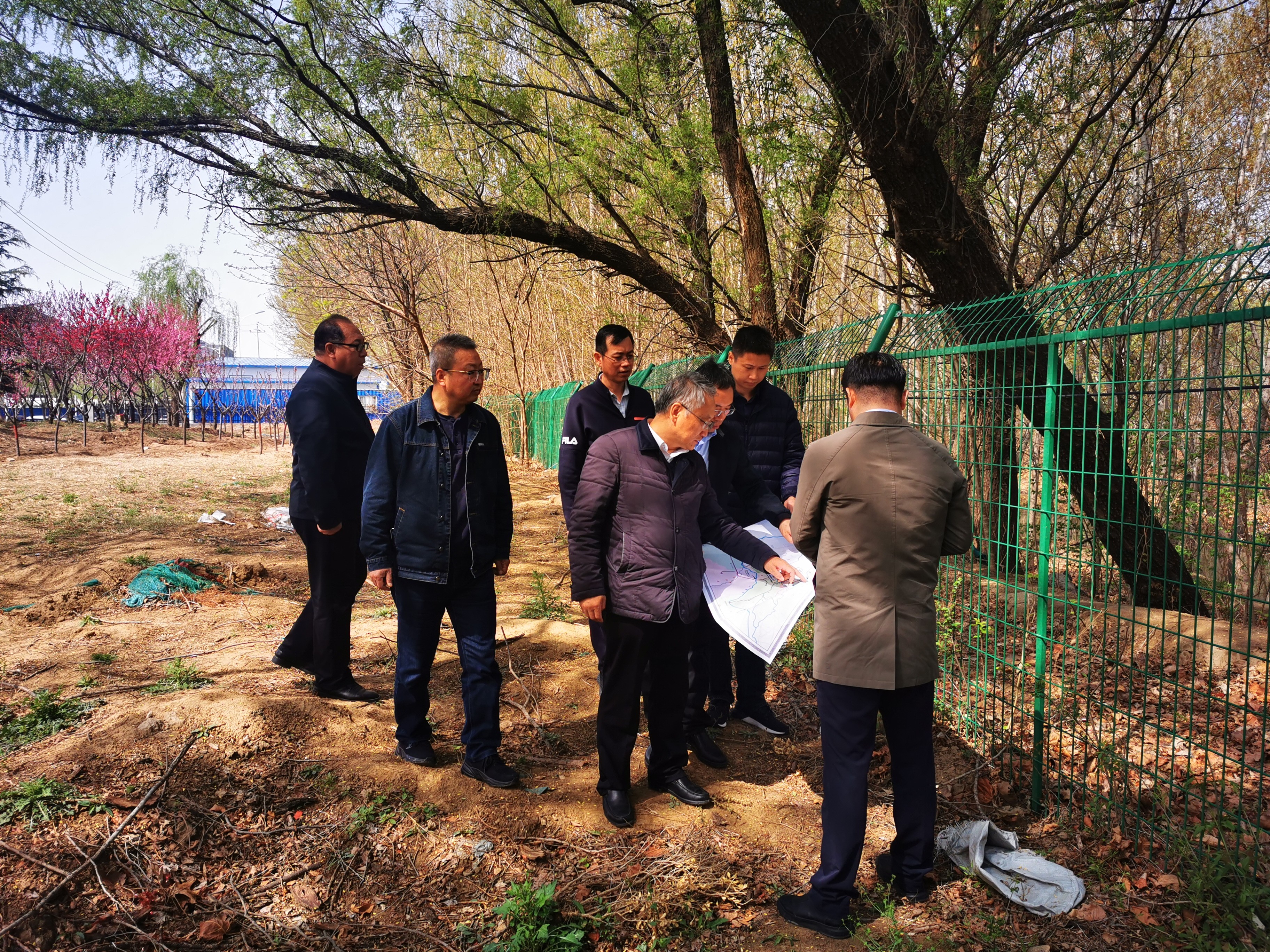 ��˾�򵼸��ȷ��ֳ�������Ŀ����ϣ��