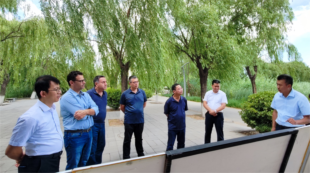 ����AEGEA��˾�����Ÿ�PT��Ѷ(�й���)������������������������ģʽ