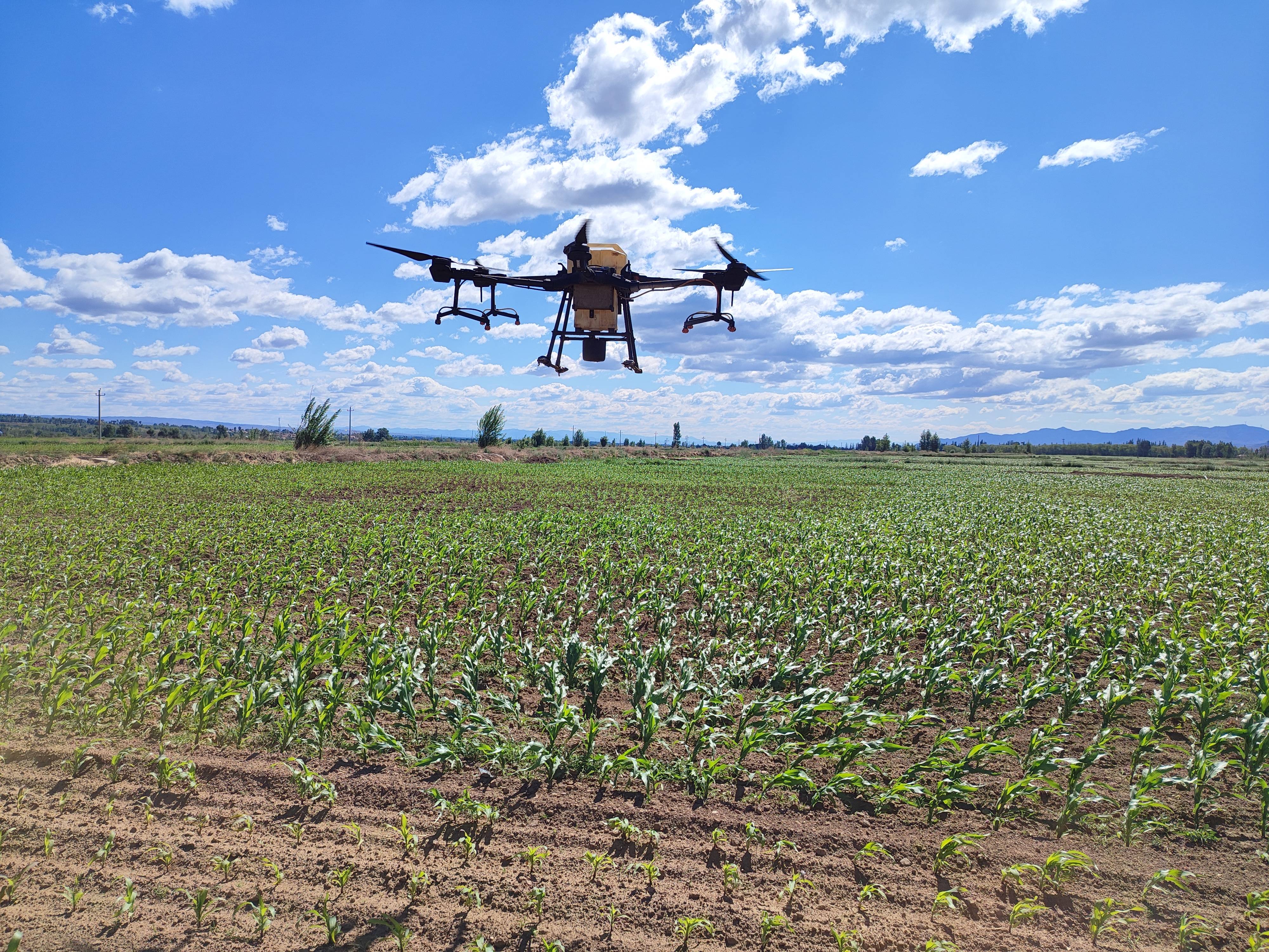 �����ظ�Ч��ˮ��ģݪֲ��Ŀ��չ���˻�������ҵ