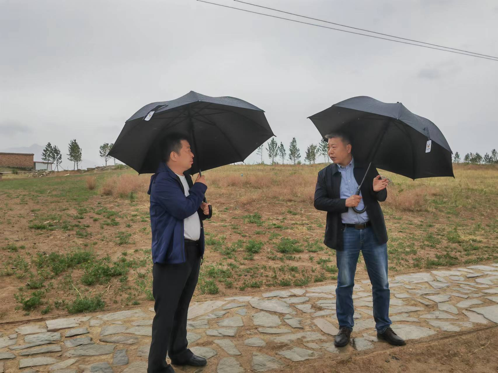 ��˾�򵼸����ؿ�չ��ģ�Թ��̵���