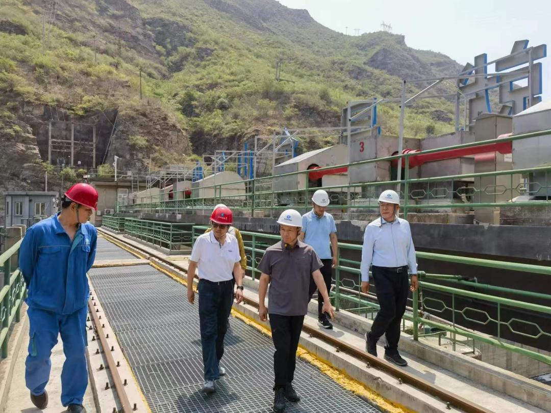 ��˾��Ҫ�򵼸�������Ӫ��˾�����º�ɫԤ������������������