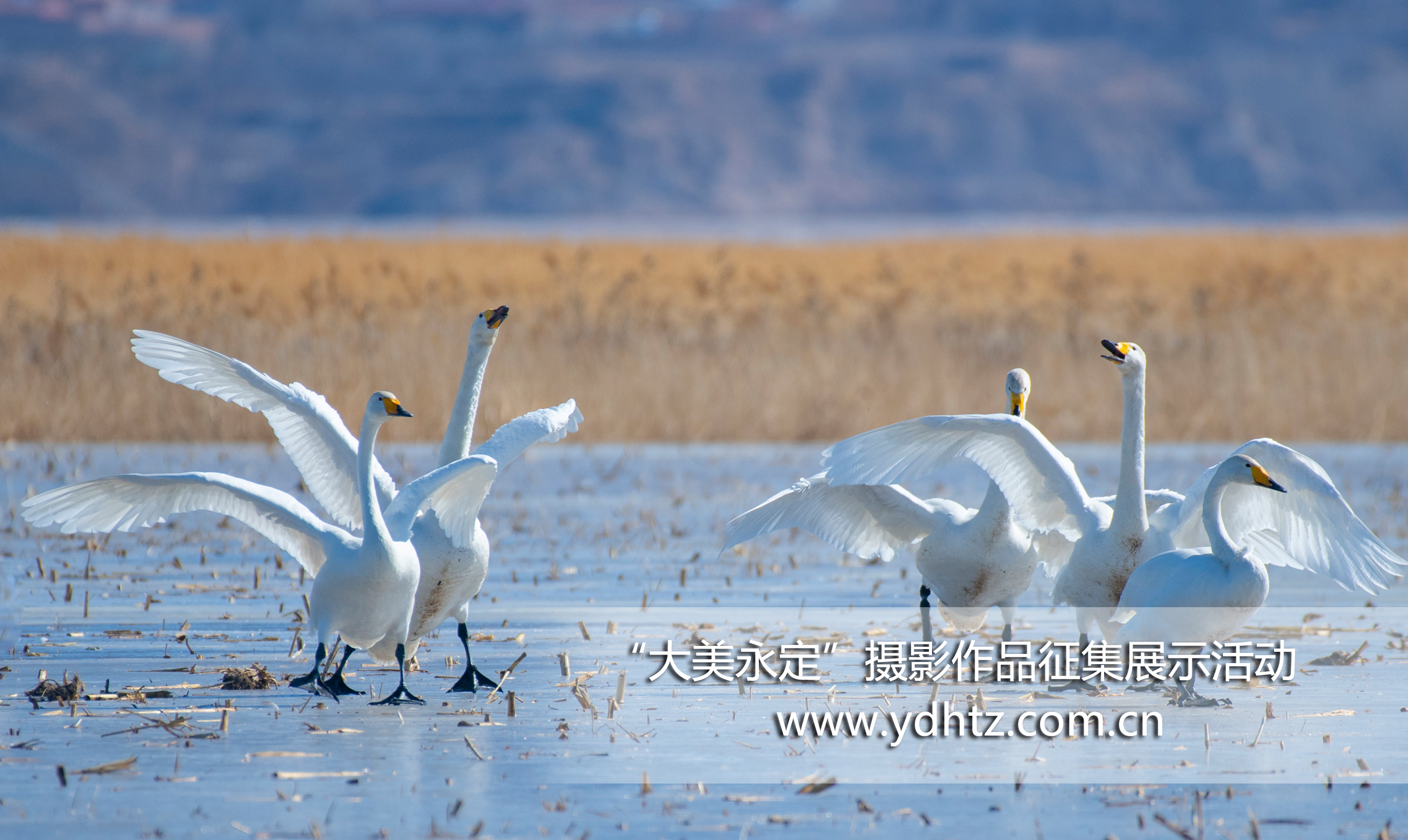 �����조������������Ӱ��Ʒ������ɳ���