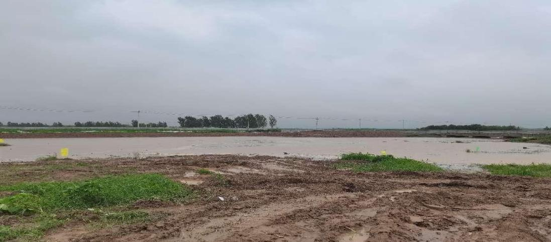 ��Ѵһ�� | ���ֹ�˾��Χ��1900���� ������տ̽�ֹ��