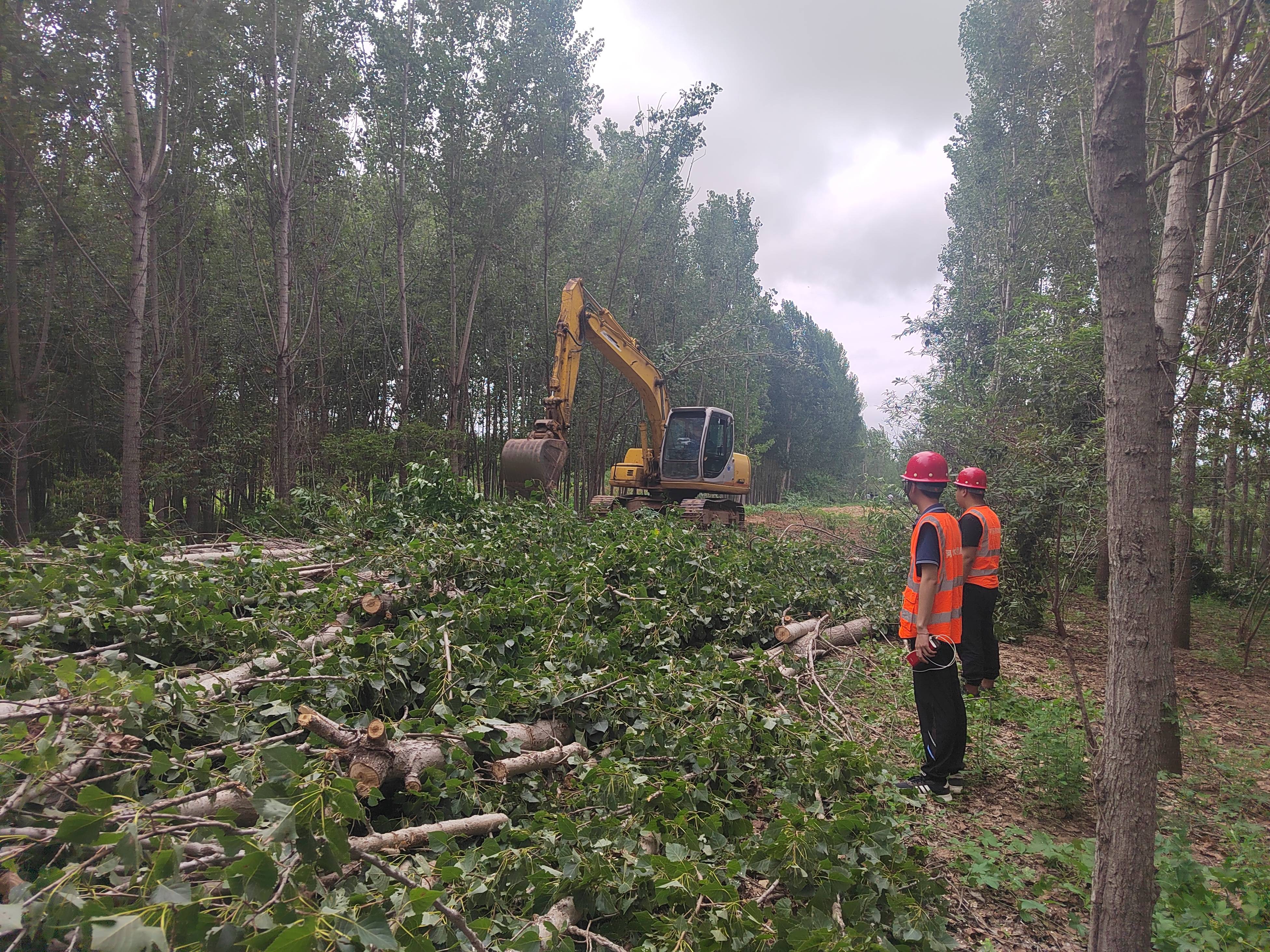 ��ϵ�����徲 ����һ�߼��ҳϡ����ȷ��ֹ�˾���۸���������Ŀ��������װ�ٳ���