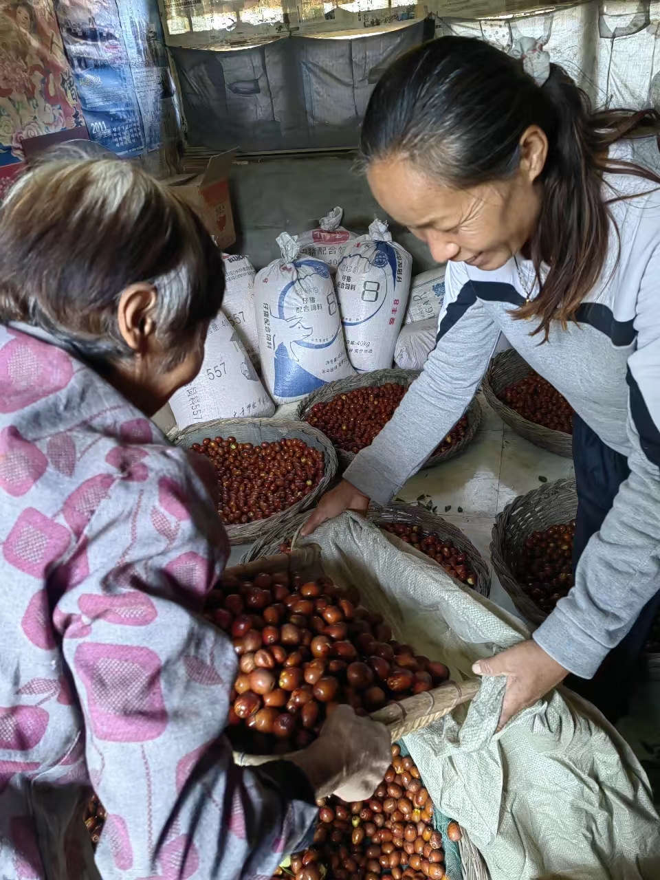 ��PT��Ѷ(�й���)��������˾������������Ӱ������ҵ���������·��