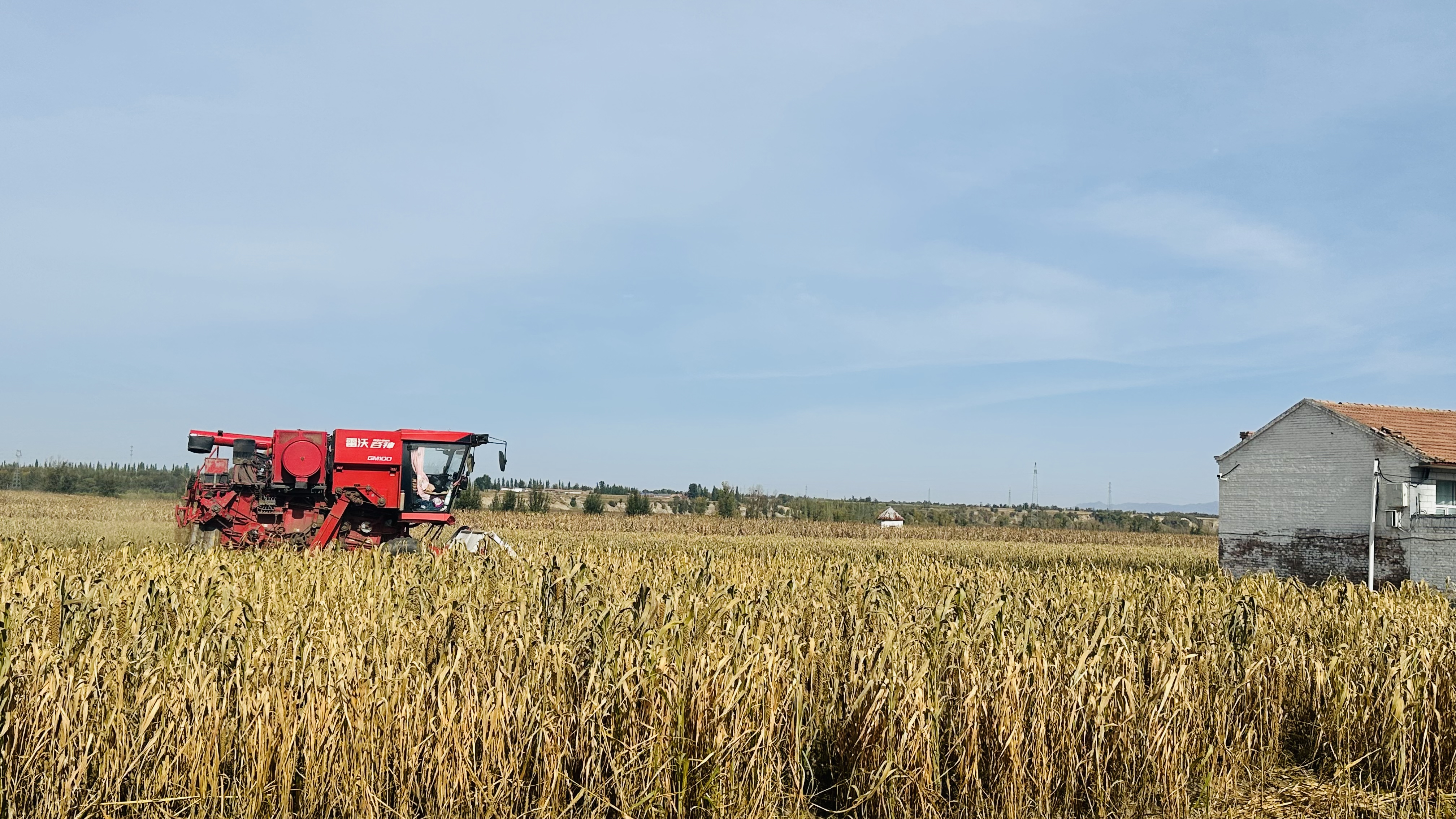 ���������á��ᡱ�� ����Ʈ��ӭ����