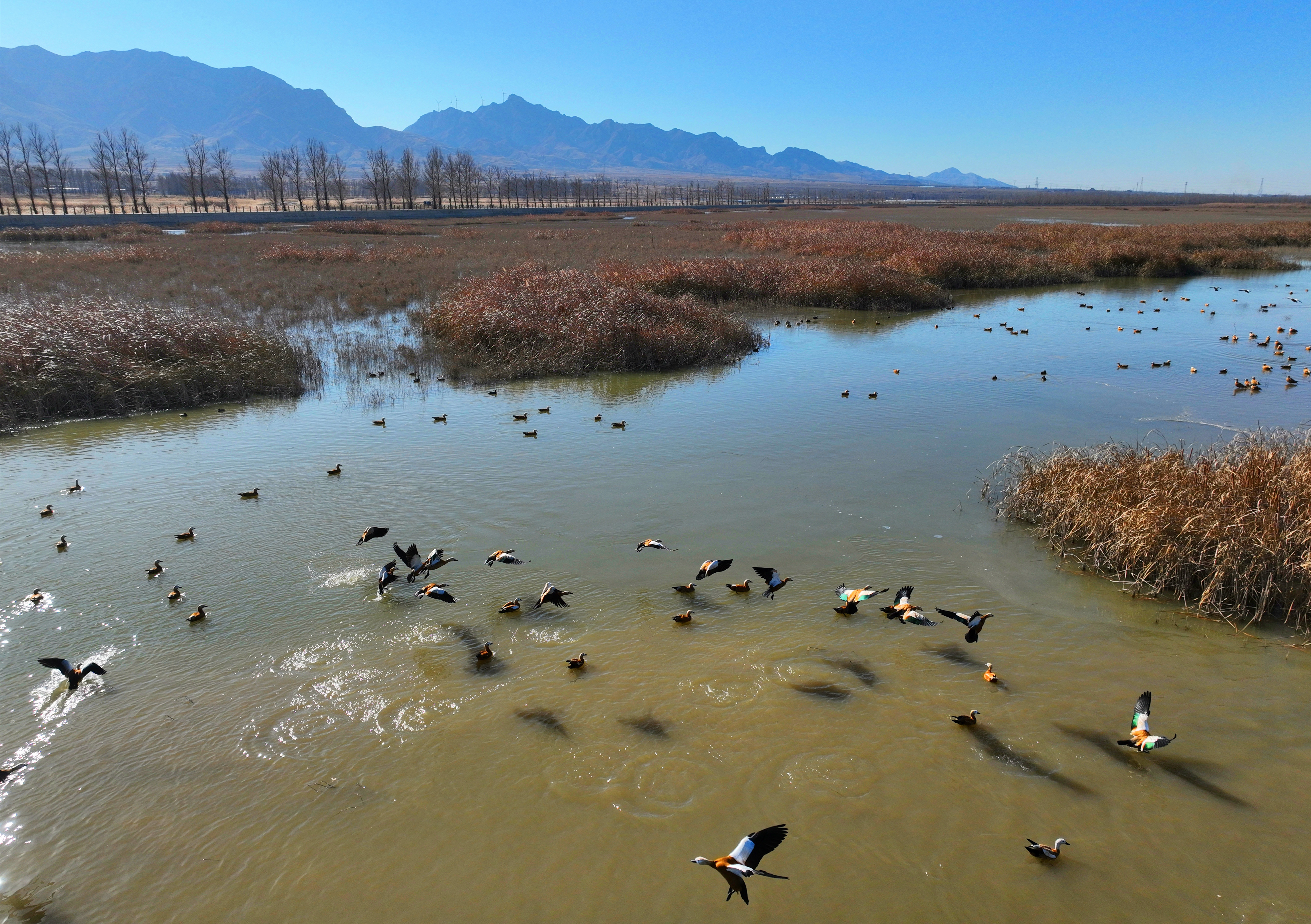 ��ͬɣ�ɺӷ��������ͳ���Ѽ