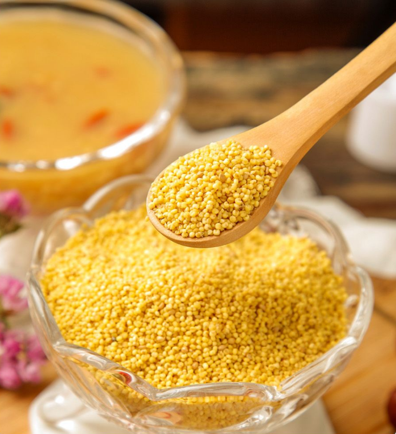 ��ͬũҵ��˾ | ������������ϵ�иߺ�������פ������ֱ��������ƽ̨