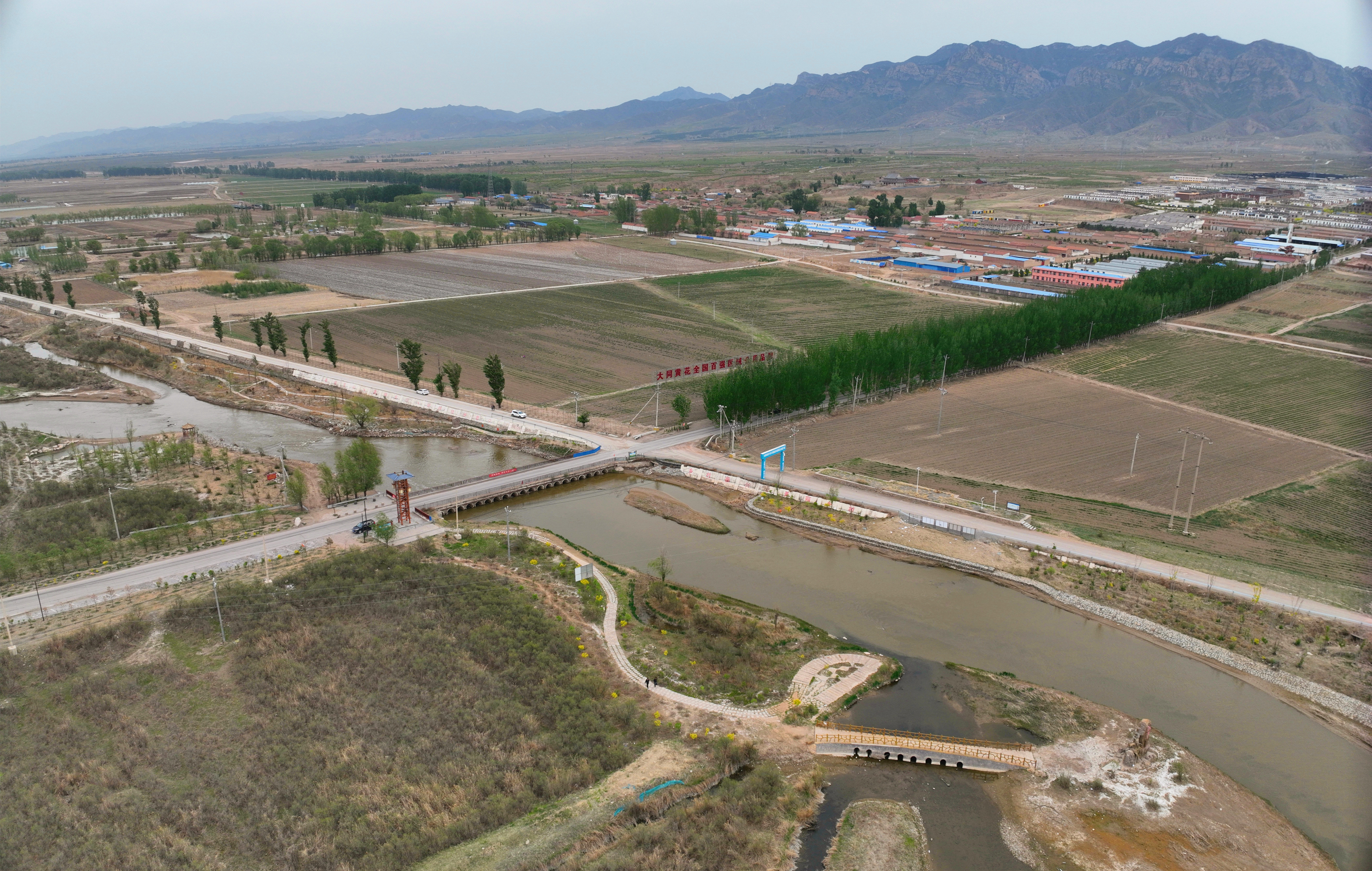 ɣ������  �����빲