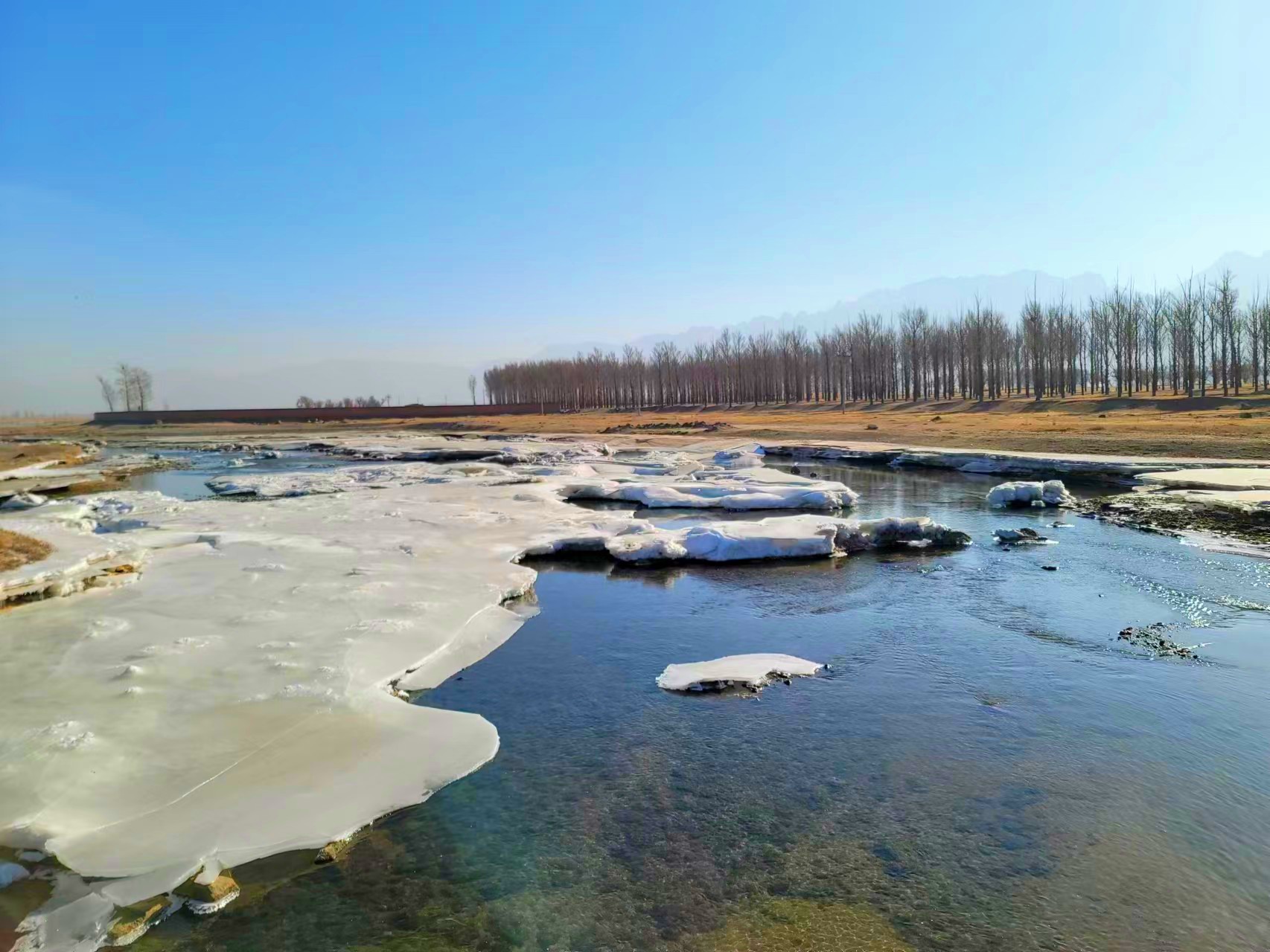 ɣ������  �����빲