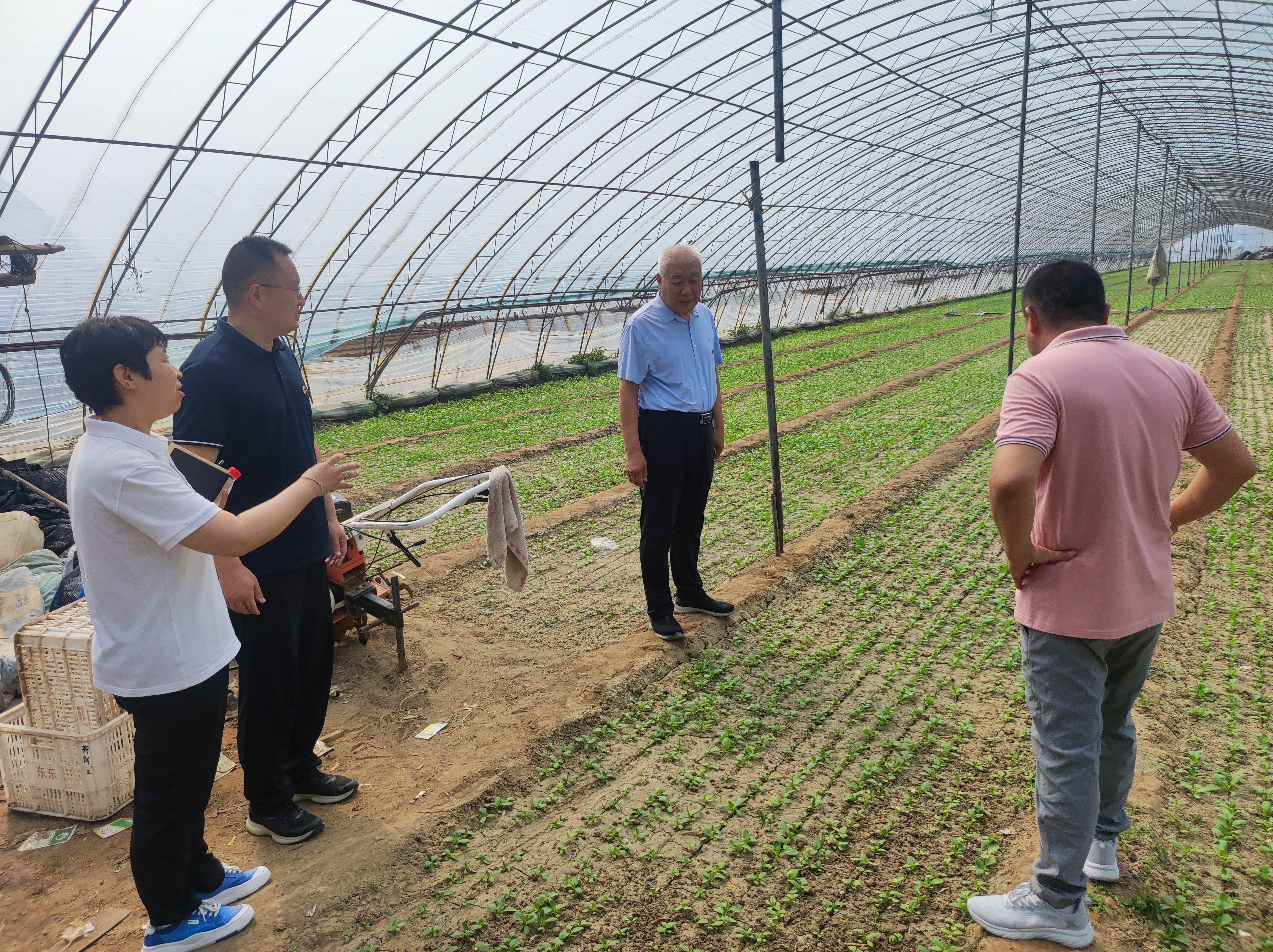 פ��פ�Ļ����� ������������