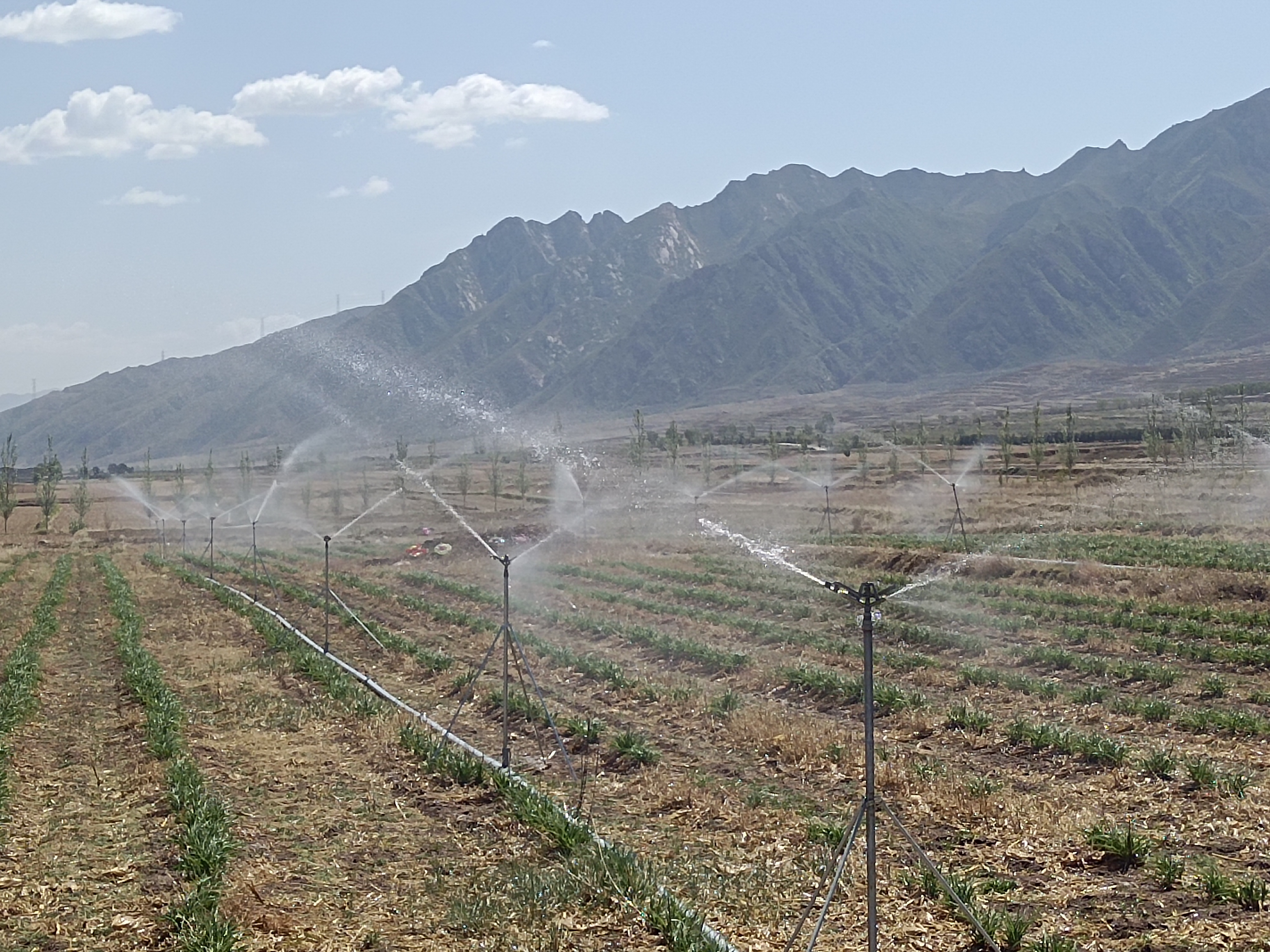 ´óͬ·Ö¹«Ë¾ | Ñô¸ßÏØ¹Å³ÇÕò¡¢÷¡Ê¯ÏçµÈÆ¬ÇøÅ©ÄÁ½»Ö¯´ø¸ßЧ½ÚË®½½¹à¹¤³Ìͨ¹ýÍ깤ÑéÊÕ ´óͬ·Ö¹«Ë¾ | Ñô¸ßÏØ¹Å³ÇÕò¡¢÷¡Ê¯ÏçµÈÆ¬ÇøÅ©ÄÁ½»Ö¯´ø¸ßЧ½ÚË®½½¹à¹¤³Ìͨ¹ýÍ깤ÑéÊÕ