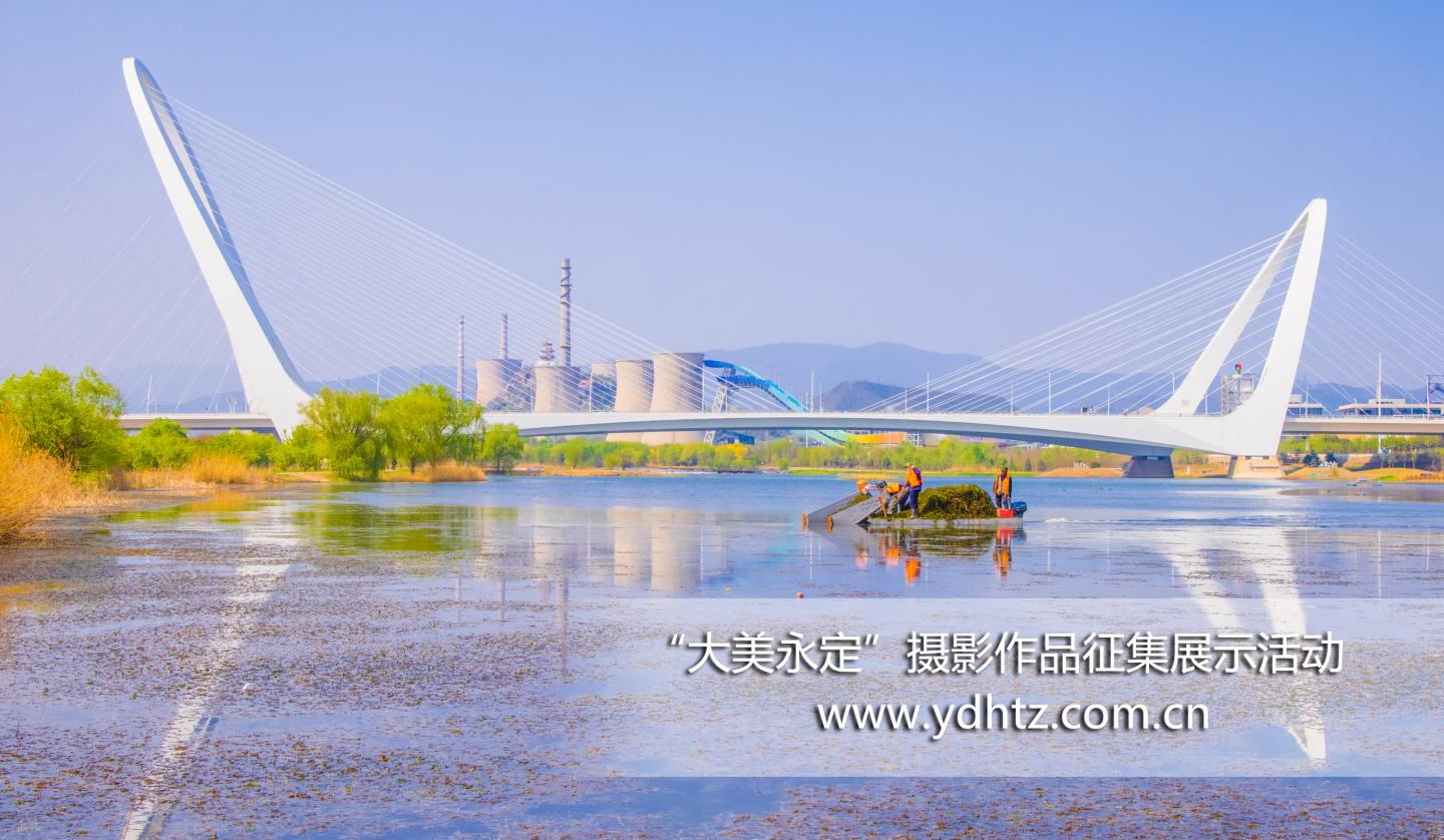 µÚÈý½ì¡°´óÃÀÓÀ¶¨¡±ÉãÓ°×÷Æ·Õ÷¼¯Ô˶¯Ð§¹û½ÒÏþ µÚÈý½ì¡°´óÃÀÓÀ¶¨¡±ÉãÓ°×÷Æ·Õ÷¼¯Ô˶¯Ð§¹û½ÒÏþ