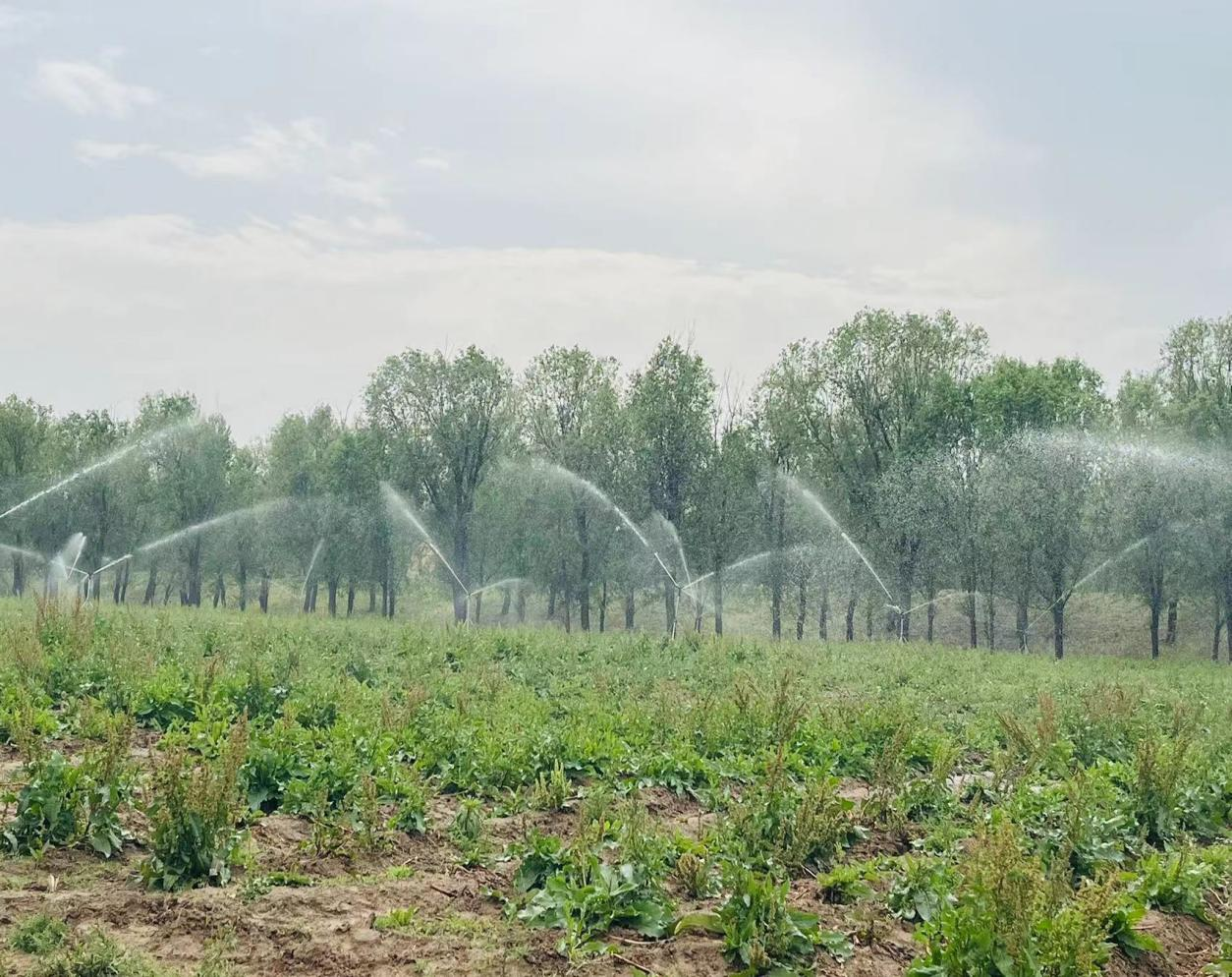 河北省涿州市PT视讯(中国区)官网综合整治工程通过项目条约完工验收 河北省涿州市PT视讯(中国区)官网综合整治工程通过项目条约完工验收