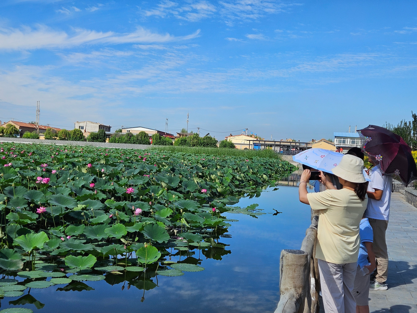 �ػ���ˮ��ɽ����ɽ����Ϫ����ʪ�ع�԰�ġ��ɡ������