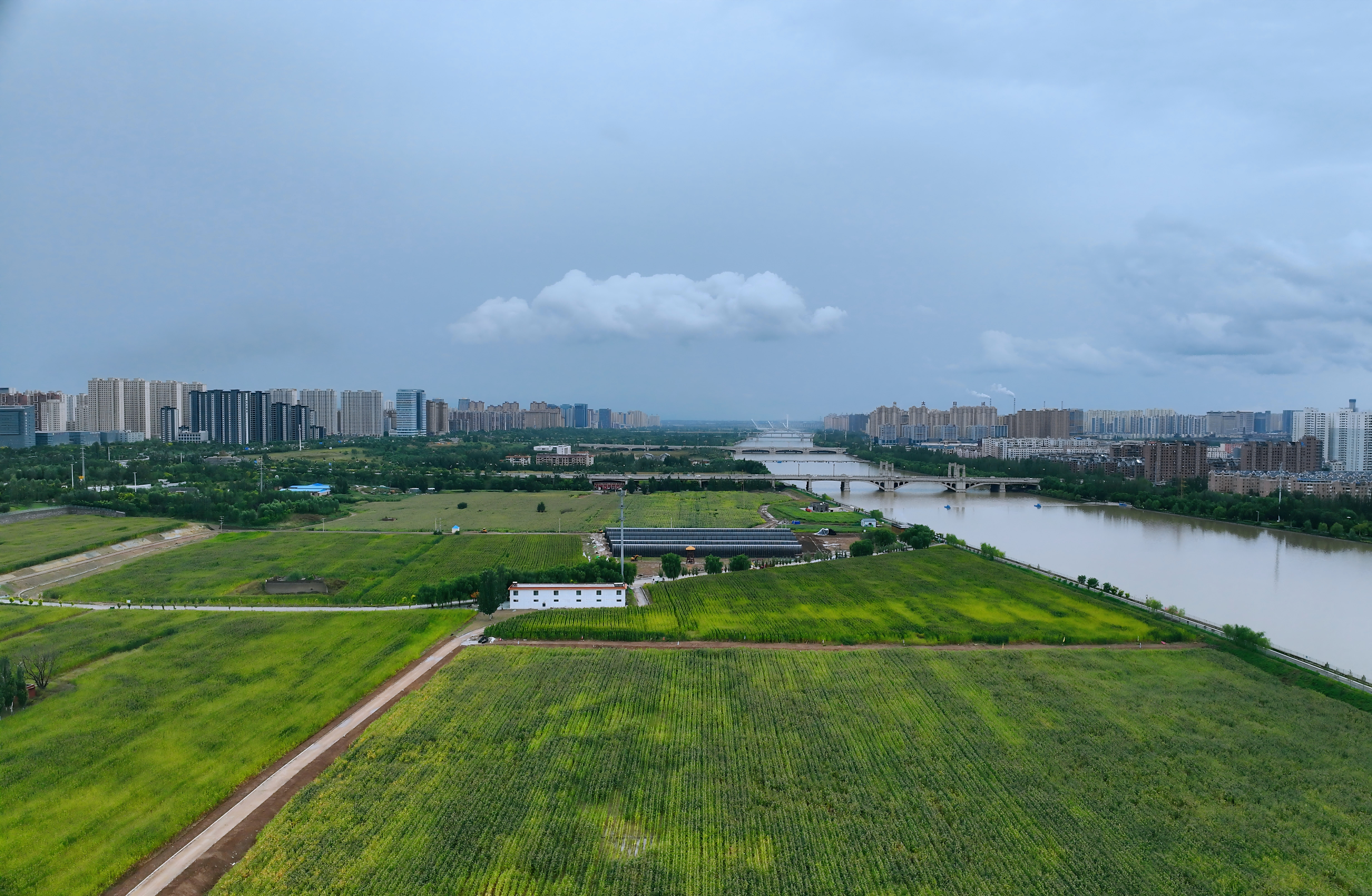 科技添彩生态田 PT视讯(中国区)官网畔庆丰收——永定三生·农谷绘就秋分丰收图景 科技添彩生态田 PT视讯(中国区)官网畔庆丰收——永定三生·农谷绘就秋分丰收图景