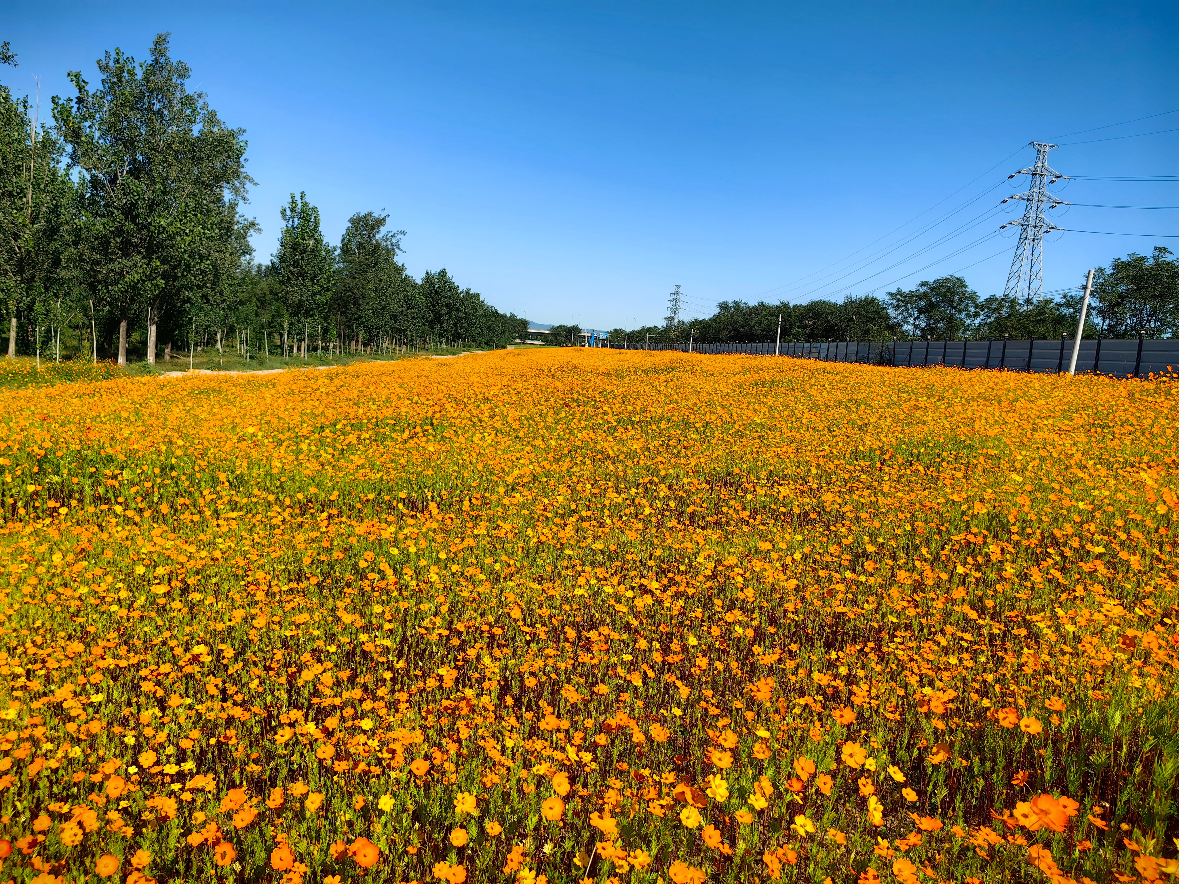 �����ˣ���ɫ��������ʩ��һ��