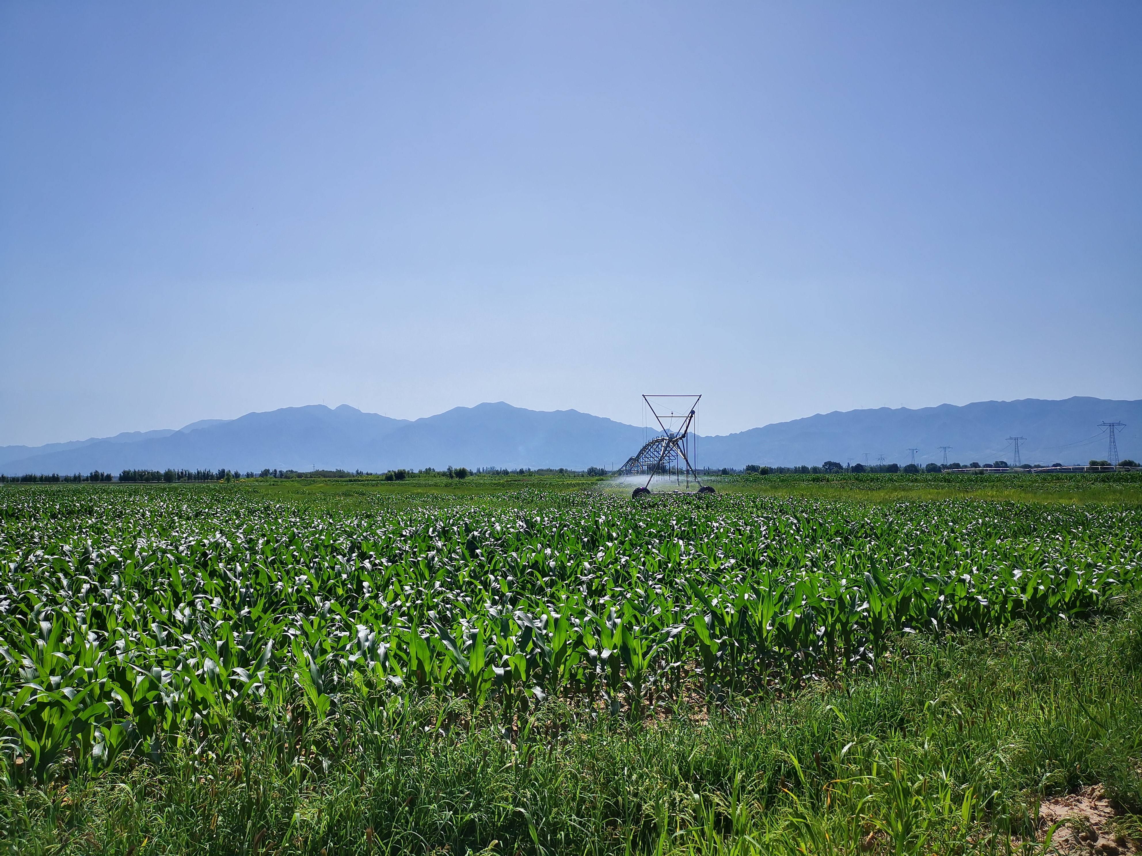 ɽ����ũ����֯��ɣ�ɺӹ�������Ƭ����Ч��ˮ���๤��ͨ���깤����