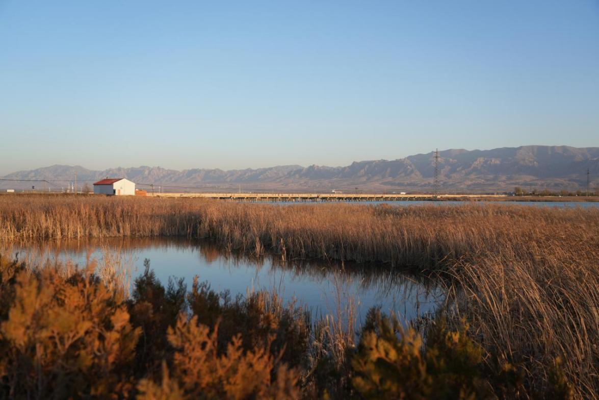 �������� ��Ӱ��� ����PT��Ѷ(�й���)�����ۺ�����������ֽ�������������