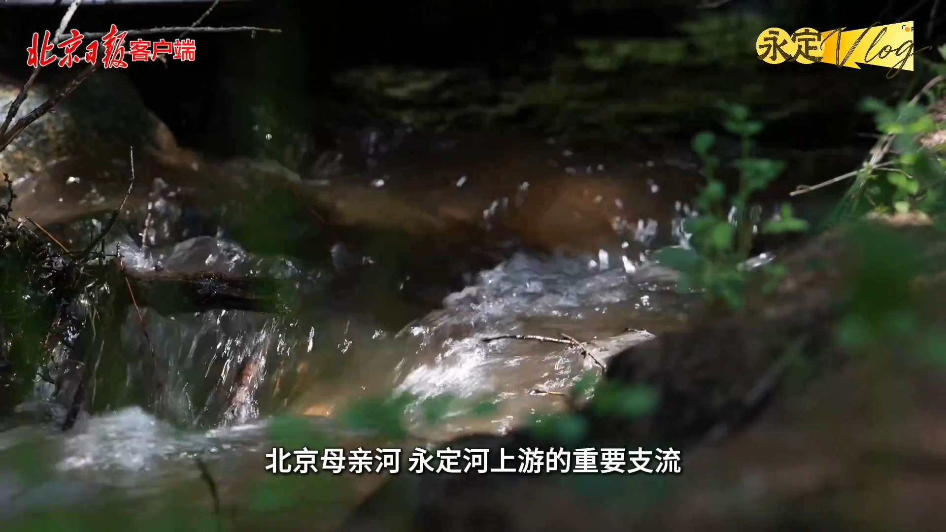 ��ǧ������������vlog��PT��Ѷ(�й���)�����ġ���ɫ���桱�������������������������ɹ�����ɽ�������������