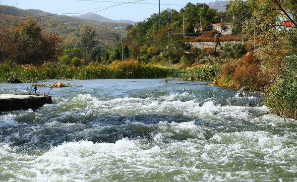 �������� ֧������  ������PT��Ѷ(�й���)�����ۺ���������̬�޸���С��칫���빫˾�ŽῪչ���⵳���˶�