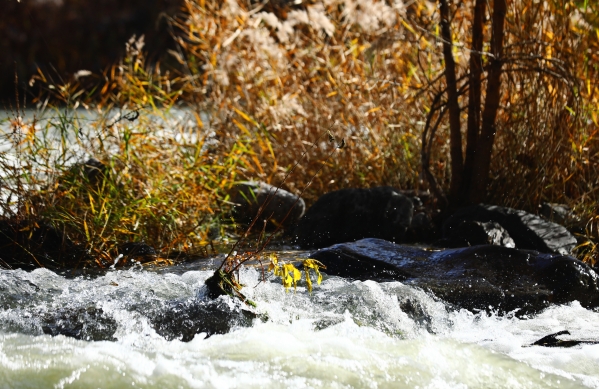 �������� ֧������  ������PT��Ѷ(�й���)�����ۺ���������̬�޸���С��칫���빫˾�ŽῪչ���⵳���˶�