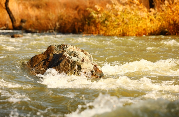 �������� ֧������  ������PT��Ѷ(�й���)�����ۺ���������̬�޸���С��칫���빫˾�ŽῪչ���⵳���˶�