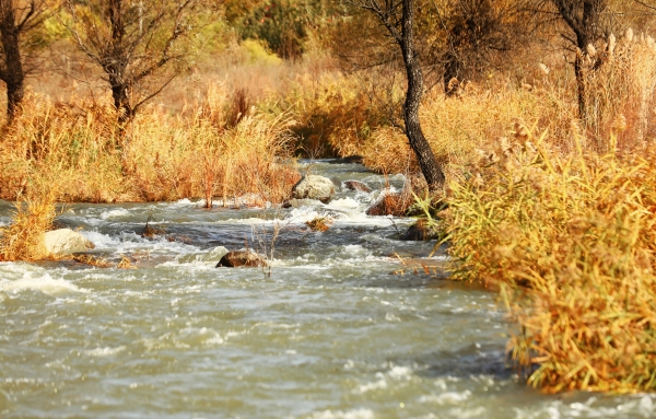 �������� ֧������  ������PT��Ѷ(�й���)�����ۺ���������̬�޸���С��칫���빫˾�ŽῪչ���⵳���˶�