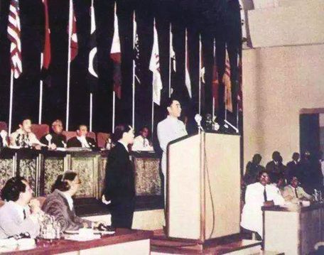 万隆聚会与新中外洋交 万隆聚会与新中外洋交