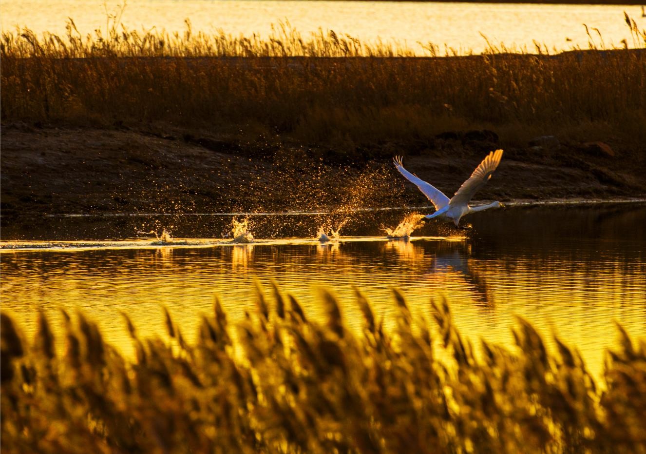 ɣ�ɺ����ɿ���