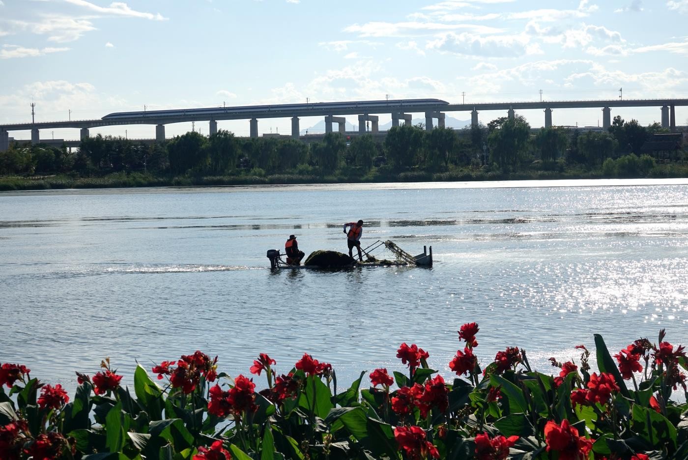 ���¬��������