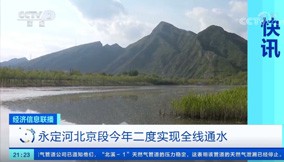 ������Ѷ��PT��Ѷ(�й���)���������ν������ʵ��ȫ��ͨˮ