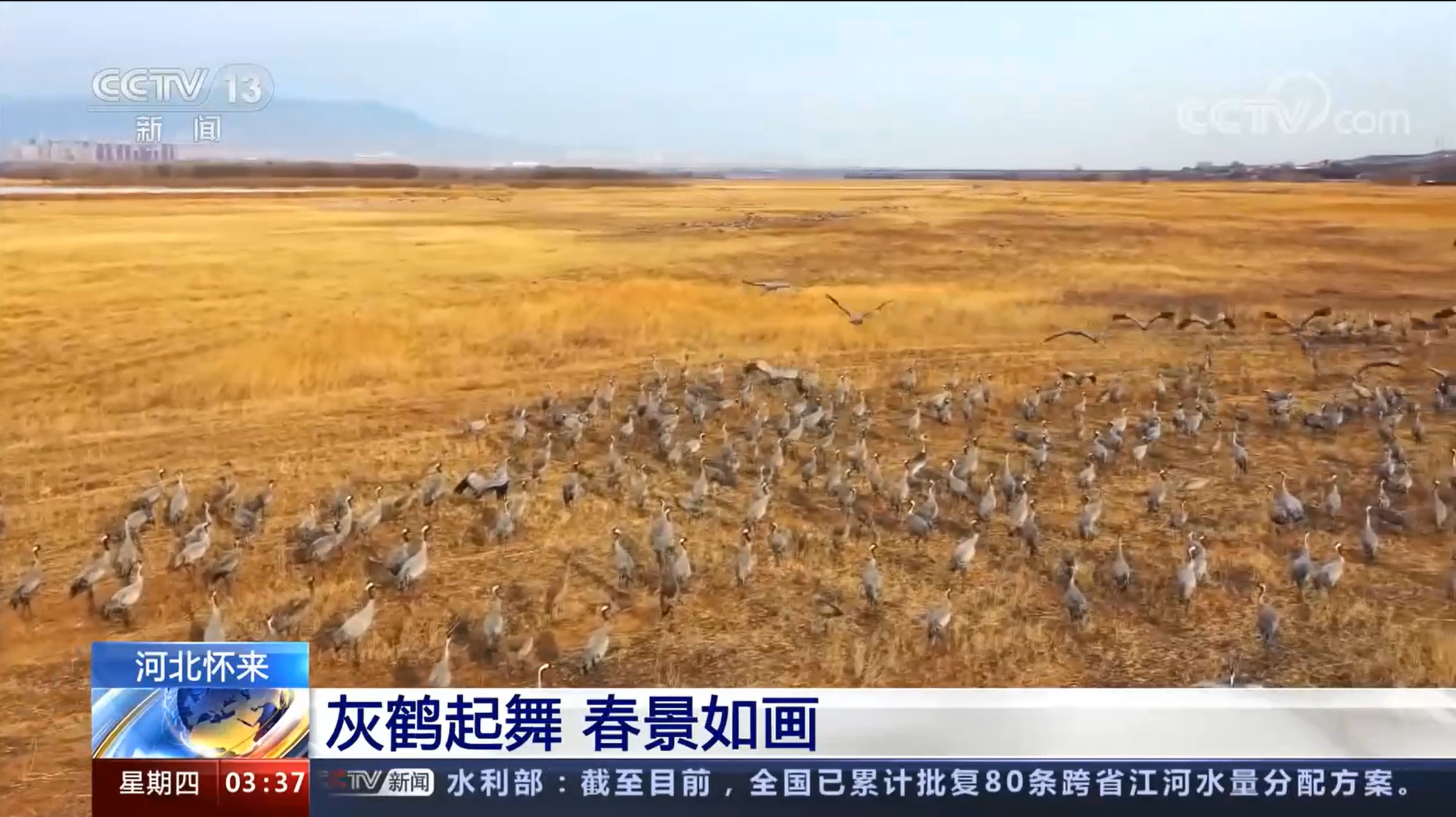 �������� | �ӱ��������Һ����� �����续